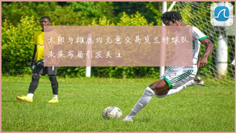 太阳与雄鹿均无意交易莫兰特球队未来布局引发关注