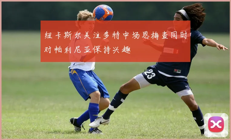 纽卡斯尔关注多特中场恩梅查同时对帕利尼亚保持兴趣