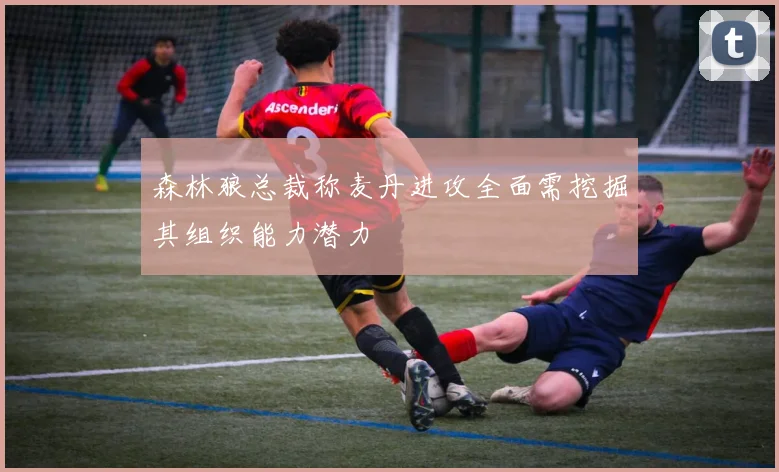 森林狼总裁称麦丹进攻全面需挖掘其组织能力潜力